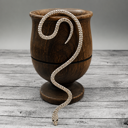 silver snake ear wrap