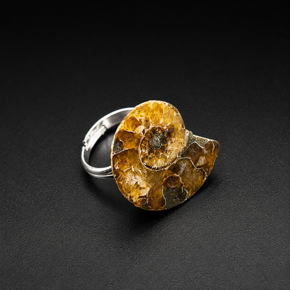 Handmade Adjustable Natural Ammonite Fossil Ring