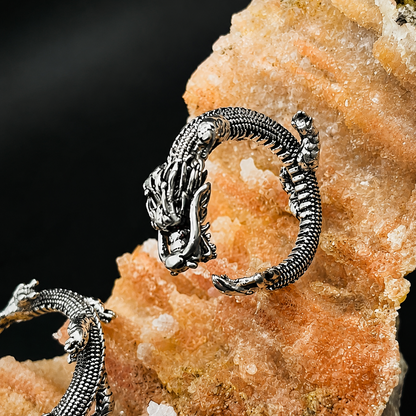 A pair of silver-toned dragon hoop earrings displayed on a textured orange crystal cluster against a dark background.
